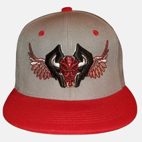 FFA's Pride Gray & Red Snap Back