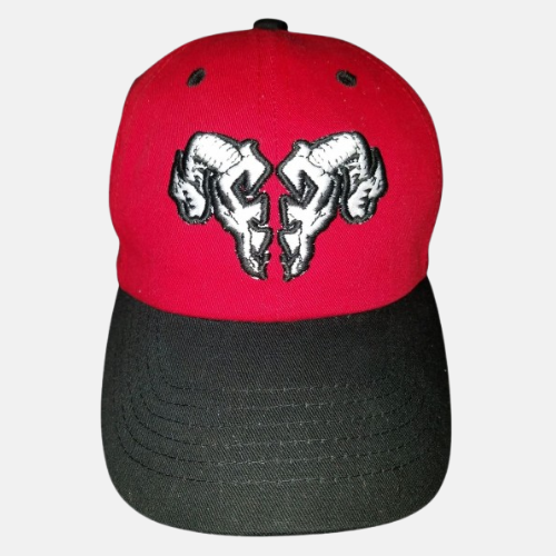 https://fallenfathersapparel.com/shop/ols/products/ffas-rampage-black-red--white-dad-hat