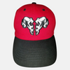 https://fallenfathersapparel.com/shop/ols/products/ffas-rampage-black-red--white-dad-hat