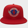 Fallen Father's Apparel Stamp Red, White & Blue Snap Back