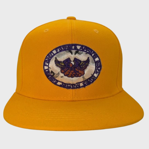 FFA's Black Lives Matter Yellow & Purple Snap Back